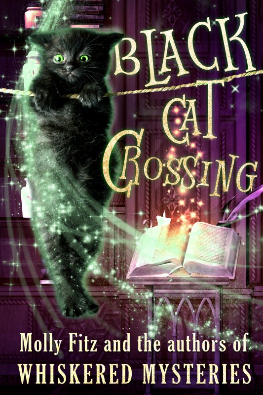 Black-Cat-Crossing-Final-533x800
